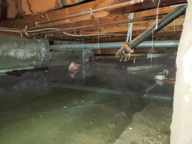 Best Water Damage Insurance Claim Assistance in Comanche, OK
