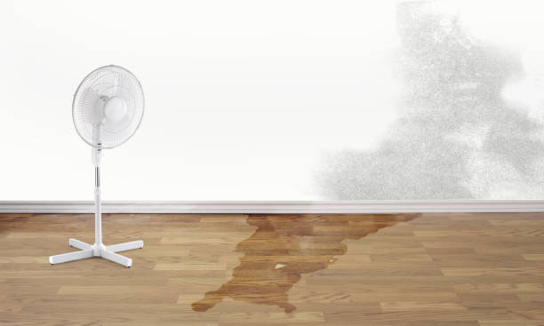Trusted Water Damage Restoration in Comanche, OK | Fast, Reliable, and Ready to Assist You